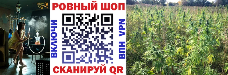 Наркотические вещества Черняховск Каннабис Амфетамин ГАШ Галлюциногенные грибы КОКАИН Мефедрон