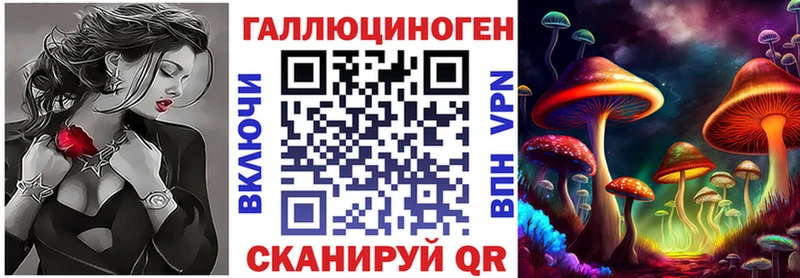 Галлюциногенные грибы Cubensis  Черняховск 