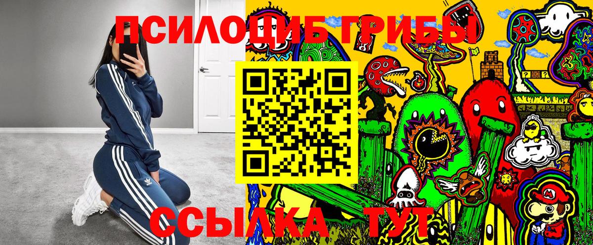 Псилоцибиновые грибы MAGIC MUSHROOMS Черняховск